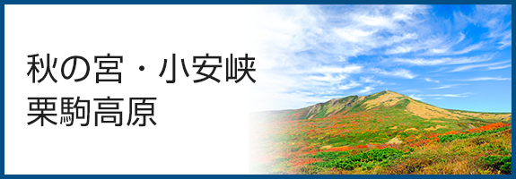 秋の宮・小安峡・栗駒高原